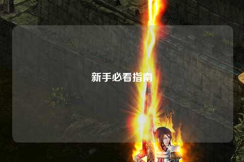 新手必看指南