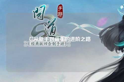 从新手到高手的进阶之路