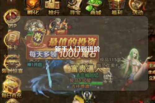 新手入门到进阶