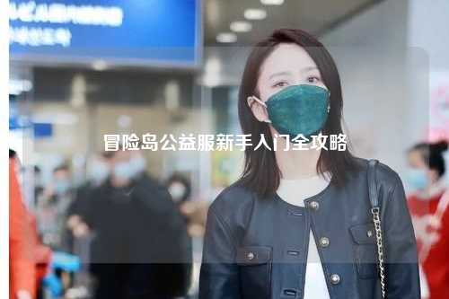 冒险岛公益服新手入门全攻略