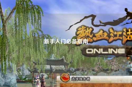 新手入门必备指南