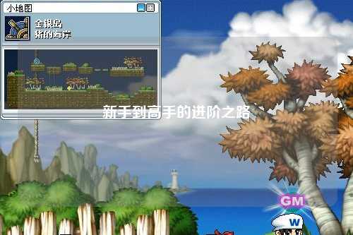 新手到高手的进阶之路