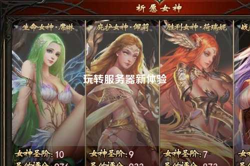 玩转服务器新体验