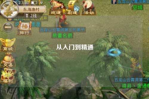 从入门到精通