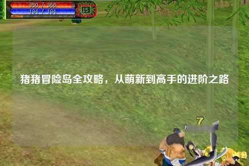 猪猪冒险岛全攻略，从萌新到高手的进阶之路