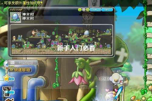 新手入门必看