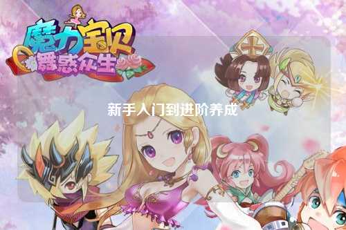 新手入门到进阶养成