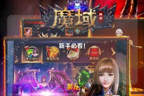 新手必看！