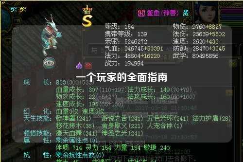 一个玩家的全面指南