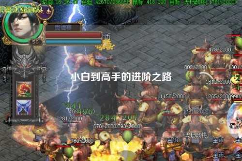 小白到高手的进阶之路