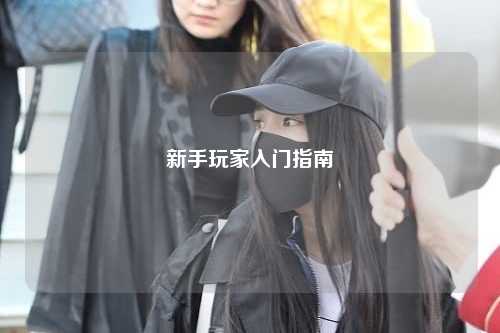 新手玩家入门指南