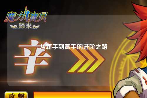 从新手到高手的进阶之路