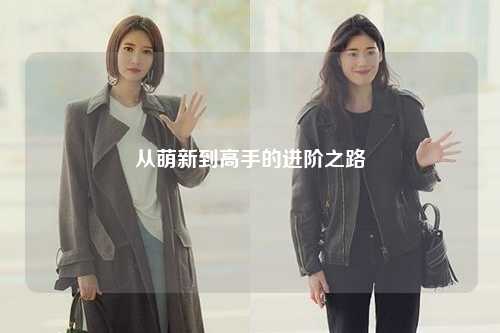 从萌新到高手的进阶之路