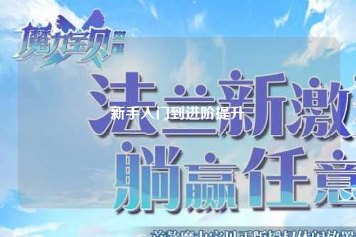 新手入门到进阶提升