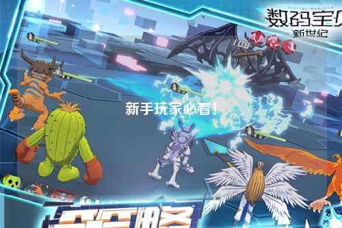 新手玩家必看！