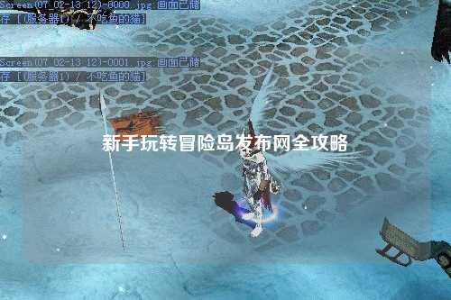 新手玩转冒险岛发布网全攻略