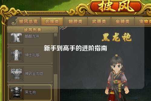 新手到高手的进阶指南