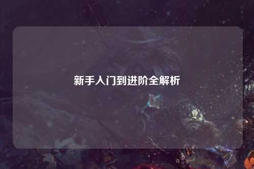 新手入门到进阶全解析