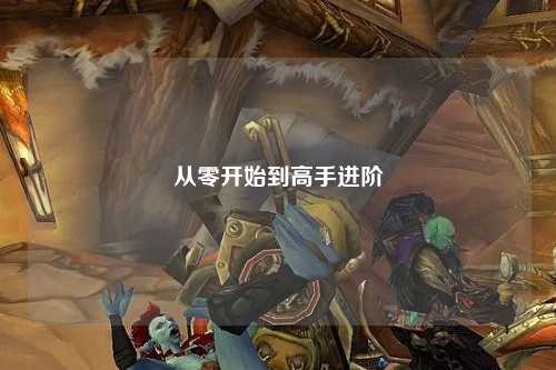 从零开始到高手进阶