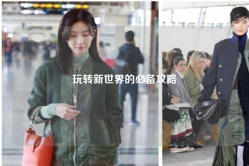 玩转新世界的必备攻略