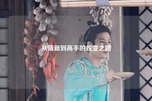 从萌新到高手的蜕变之路