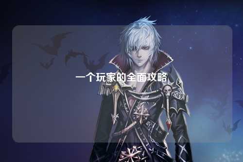 一个玩家的全面攻略