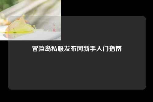 冒险岛私服发布网新手入门指南