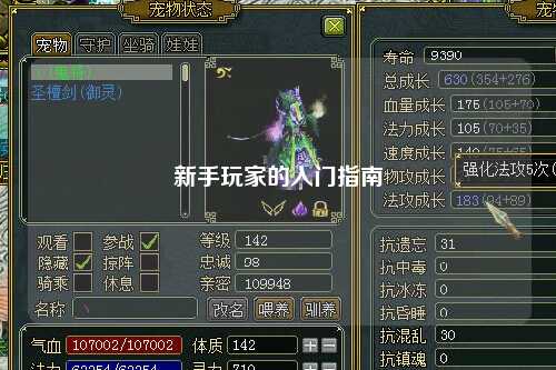 新手玩家的入门指南