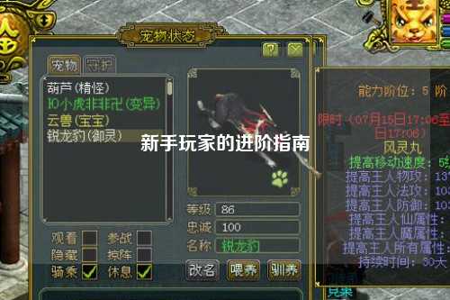 新手玩家的进阶指南