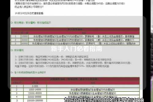 新手入门必看指南