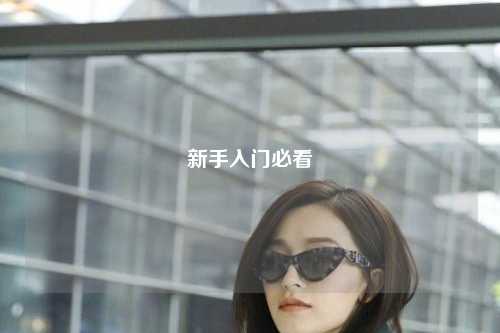 新手入门必看