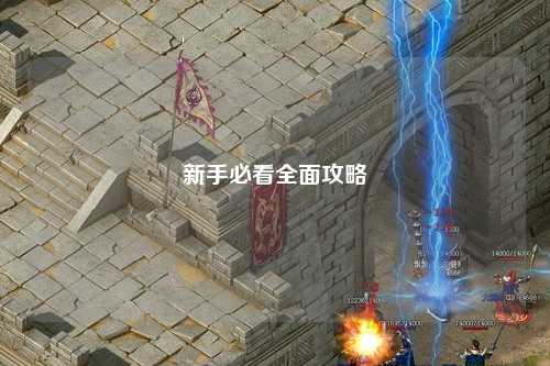 新手必看全面攻略