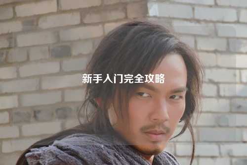 新手入门完全攻略