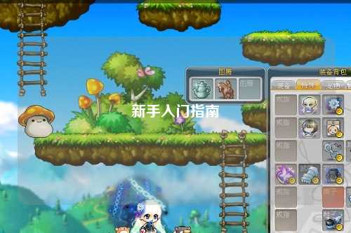 新手入门指南