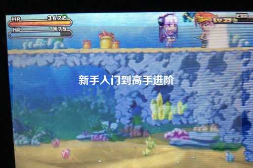 新手入门到高手进阶