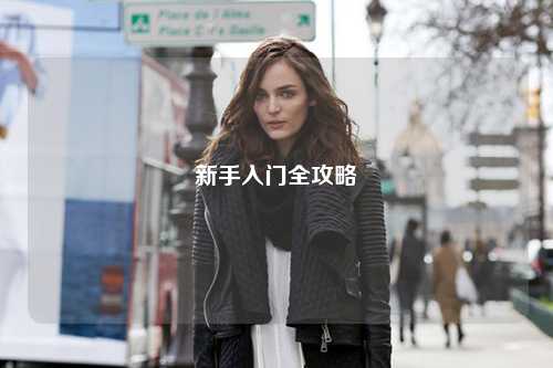 新手入门全攻略