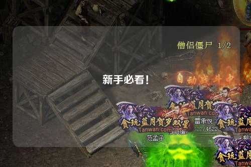新手必看！