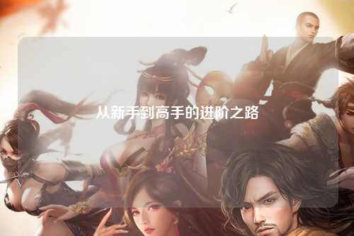 从新手到高手的进阶之路