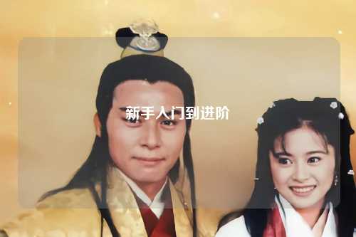 新手入门到进阶