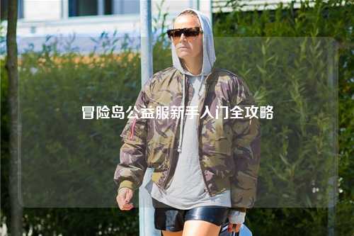 冒险岛公益服新手入门全攻略