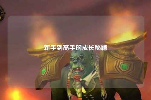 新手到高手的成长秘籍