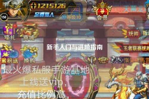 新手入门与进阶指南
