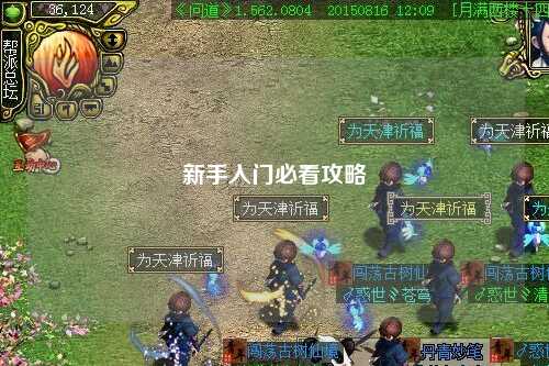 新手入门必看攻略