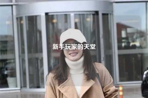 新手玩家的天堂