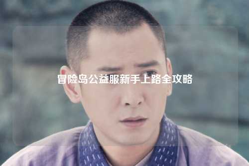 冒险岛公益服新手上路全攻略