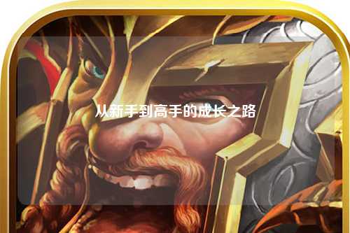 从新手到高手的成长之路