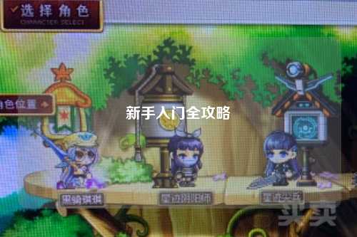 新手入门全攻略