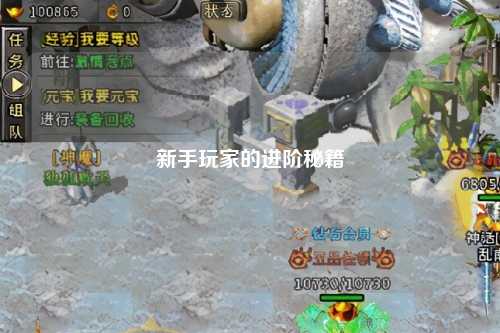 新手玩家的进阶秘籍