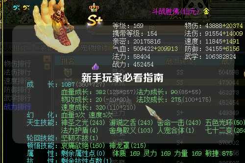 新手玩家必看指南