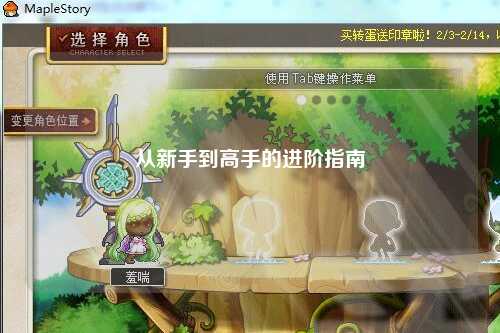 从新手到高手的进阶指南